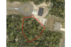 SW 158TH PL, OCALA, FL 34473 Sold 10/13/24