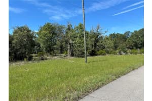 0000 147 ST ROAD, OCALA, FL 34473 Sold 02/06/25