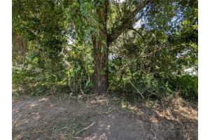 JUNIPER TRAIL, OCALA, FL 34480 Sold 10/07/24