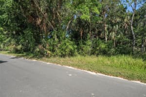 11681 NORTH PLACE, HOMOSASSA, FL 34448 - MLS#MFROM682605