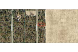 MLS# MFROM682641, Dunnellon, Florida 34431