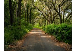 13418 NW HIGHWAY 225, REDDICK, FL 32686 Sold 03/24/25