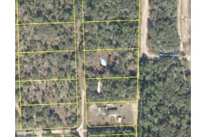 6651 122ND AVENUE, WILLISTON, FL 32696 Sold 09/17/25