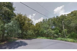 TBD SPRING LOOP CT, OCALA, FL 34472 Sold 02/24/25