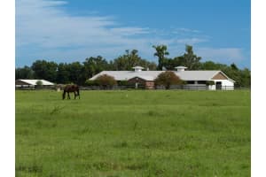 13430 NW HIGHWAY 225, REDDICK, FL 32686 Sold 03/24/25
