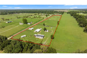 11198 36TH AVENUE, ANTHONY, FL 32617 Sold 05/12/25