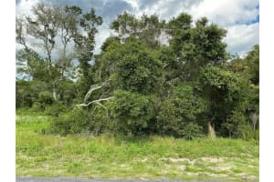 LOT 44 39TH TERRACE, OCALA, FL 34473 Sold 10/07/24