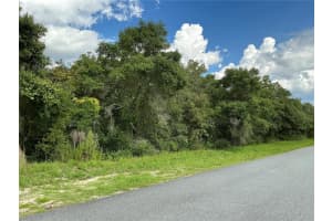 LOT 44 39TH TERRACE, OCALA, FL 34473 Sold 10/07/24