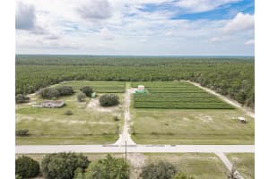 5782 DUNKLIN STREET, DUNNELLON, FL 34433 - MLS#MFROM682847