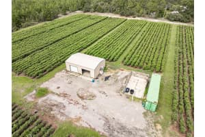 5782 DUNKLIN STREET, DUNNELLON, FL 34433 - MLS#MFROM682847