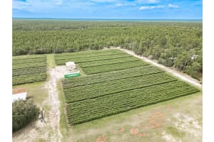 5782 DUNKLIN STREET, DUNNELLON, FL 34433 - MLS#MFROM682847