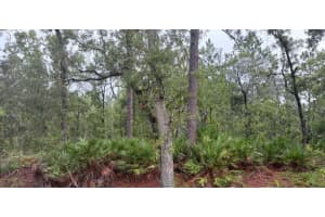 2400 TALL OAKS DRIVE, BEVERLY HILLS, FL 34465 - MLS#MFROM682957