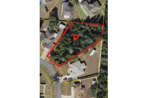 TBD 43RD AVE ROAD, OCALA, FL 34473 Sold 11/07/24