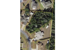 TBD 43RD AVE ROAD, OCALA, FL 34473 Sold 11/07/24