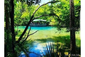 8390 JAY DRIVE, CITRUS SPRINGS, FL 34434 Sold 12/30/24