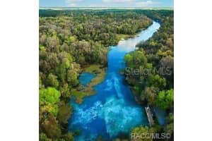 8398 JAY DRIVE, CITRUS SPRINGS, FL 34434 Sold 01/30/25