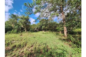 0 135TH STREET, FORT MC COY, FL 32134 - MLS#MFROM683016