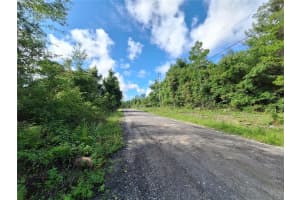 0 135TH STREET, FORT MC COY, FL 32134 - MLS#MFROM683016