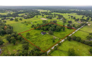 8251 136TH AVENUE ROAD, OCALA, FL 34482 Sold 12/18/24
