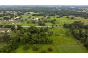 8251 136TH AVENUE ROAD, OCALA, FL 34482 Sold 12/18/24
