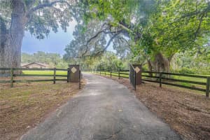 19 MEADOW WOOD DRIVE, OCALA, FL 34482 Sold 10/17/24