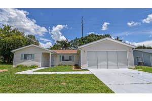10587 174TH LOOP, SUMMERFIELD, FL 34491 Sold 02/26/25