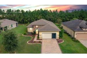 9143 70TH LOOP, OCALA, FL 34481 Sold 11/01/24