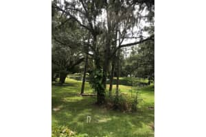 8160 46TH STREET, OCALA, FL 34482 Sold 11/13/24