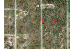 TBD ARROW LEAF TRAIL, DUNNELLON, FL 34431 - MLS#MFROM683459