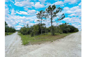 14250 2ND STREET, WILLISTON, FL 32696 Sold 02/25/25