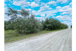 14250 2ND STREET, WILLISTON, FL 32696 Sold 02/25/25