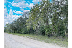 14250 2ND STREET, WILLISTON, FL 32696 Sold 02/25/25