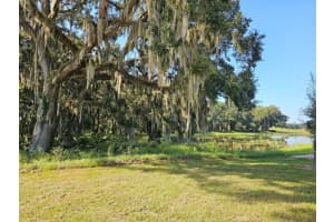 3160 CANOPY OAK BOULEVARD, WILDWOOD, FL 34785 Sold 11/07/24