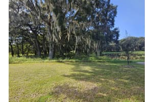 3160 CANOPY OAK BOULEVARD, WILDWOOD, FL 34785 Sold 11/07/24