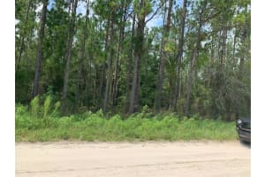 0 SW 64TH STREET RD, OCALA, FL 34481 Sold 10/07/24
