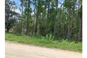 0 SW 64TH STREET RD, OCALA, FL 34481 Sold 10/07/24