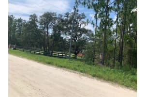 0 SW 64TH STREET RD, OCALA, FL 34481 Sold 10/07/24