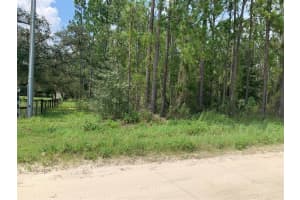 0 SW 64TH STREET RD, OCALA, FL 34481 Sold 10/07/24