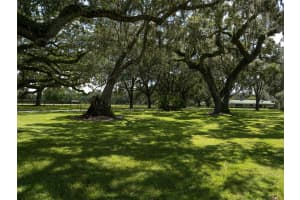 9536 W HWY 326, OCALA, FL 34482 Sold 11/01/24