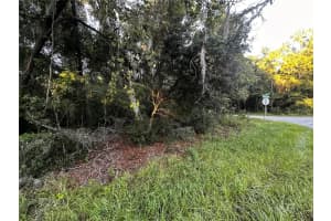 00 LOCUST RUN CRS, OCALA, FL 34472 Sold 11/07/24