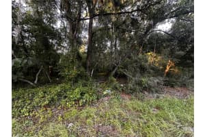 00 LOCUST RUN CRS, OCALA, FL 34472 Sold 11/07/24
