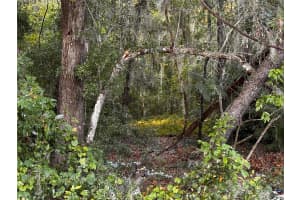 00 LOCUST RUN CRS, OCALA, FL 34472 Sold 11/07/24