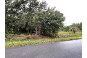 TBD LOCUST RUN RADIAL, OCALA, FL 34472 Sold 10/08/24