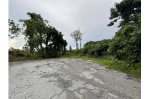 TBD HICKORY TRACK DRIVE, OCALA, FL 34472 - MLS#MFROM684083