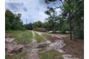 Lots 55-59 16TH PLACE, OCALA, FL 34482 Sold 11/18/24