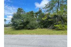 0 SW 177TH PLACE RD, OCALA, FL 34473 Sold 09/20/24