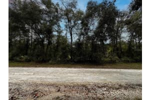 TBD SAINT PATRICK DRIVE, DUNNELLON, FL 34432 Sold 12/30/24
