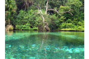 TBD SAINT PATRICK DRIVE, DUNNELLON, FL 34432 Sold 12/30/24