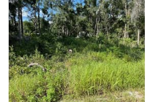 NW 14TH ST, OCALA, FL 34482 Sold 10/18/24