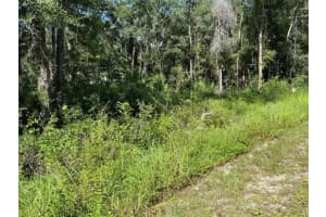 NW 14TH ST, OCALA, FL 34482 Sold 10/18/24